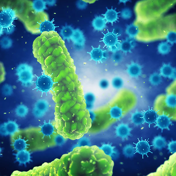 A microscopic illustration of pathogenic bacteria and viruses